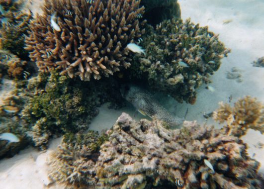 Ne Mor���ne!!!